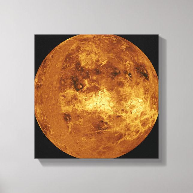 Venus Canvas Print (Front)