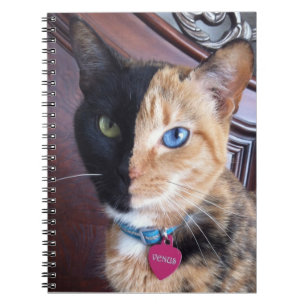 Venus Cat spiral notebook