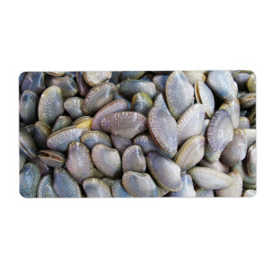 Venus Clam [หอยลาย]