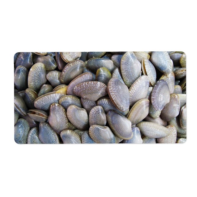 Venus Clam [หอยลาย] (Front)