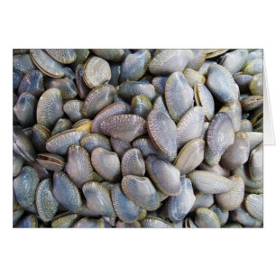 Venus Clam [หอยลาย]