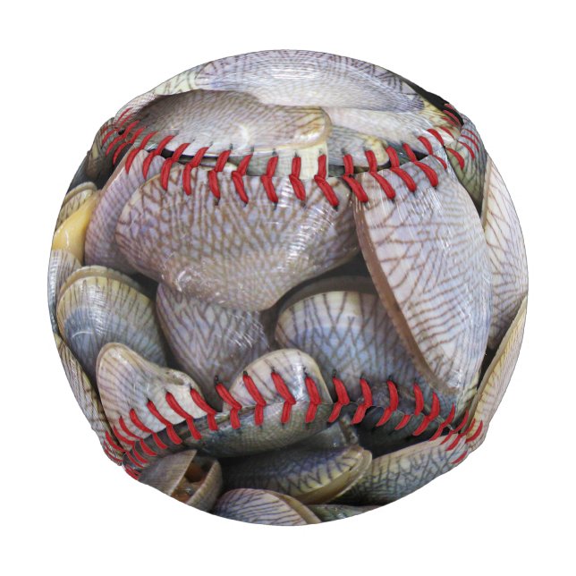 Venus Clam [หอยลาย] Baseball (Front)