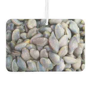 Venus Clam [หอยลาย] Car Air Freshener