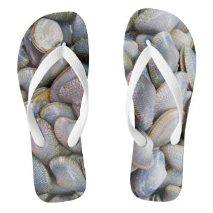 Venus Clam [หอยลาย] Flip Flops