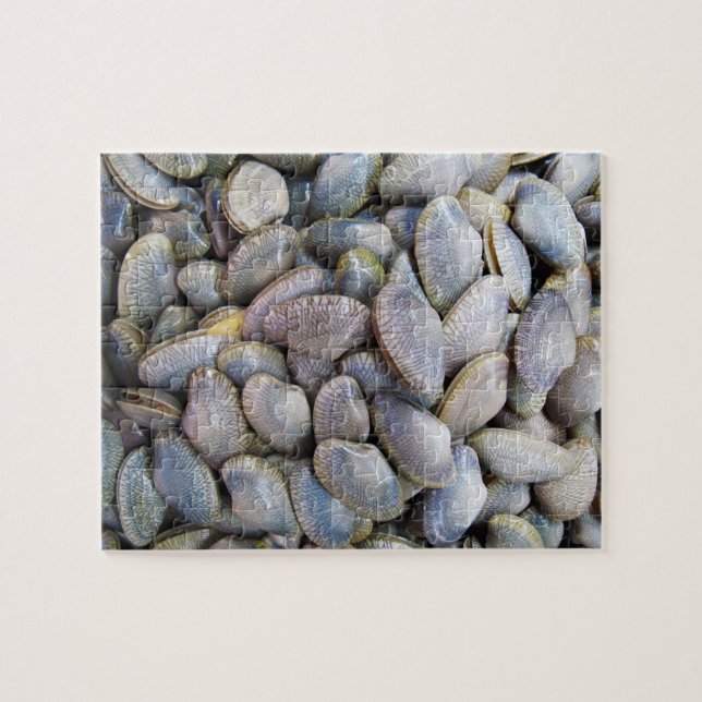 Venus Clam [หอยลาย] Jigsaw Puzzle (Horizontal)