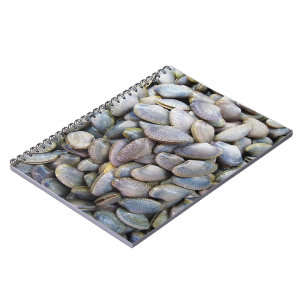 Venus Clam [หอยลาย] Notebook