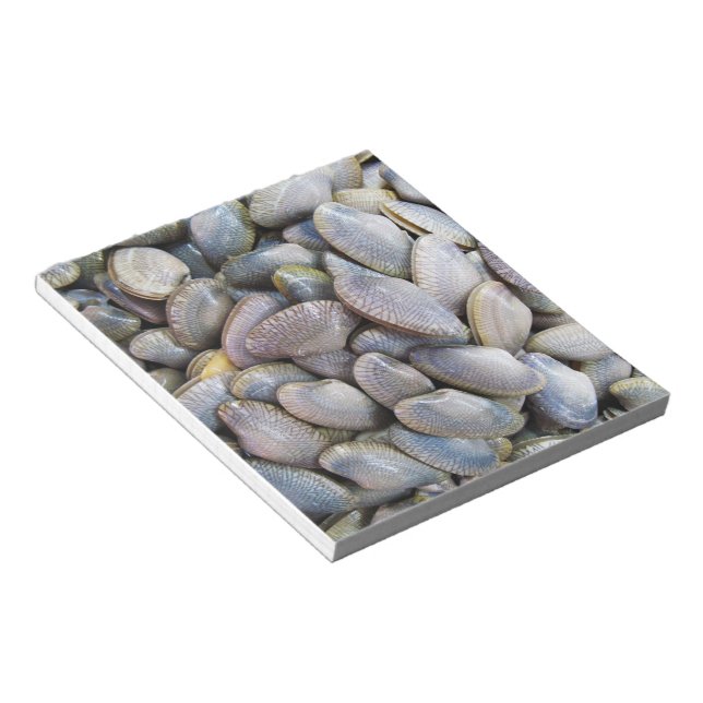 Venus Clam [หอยลาย] Notepad (Angled)