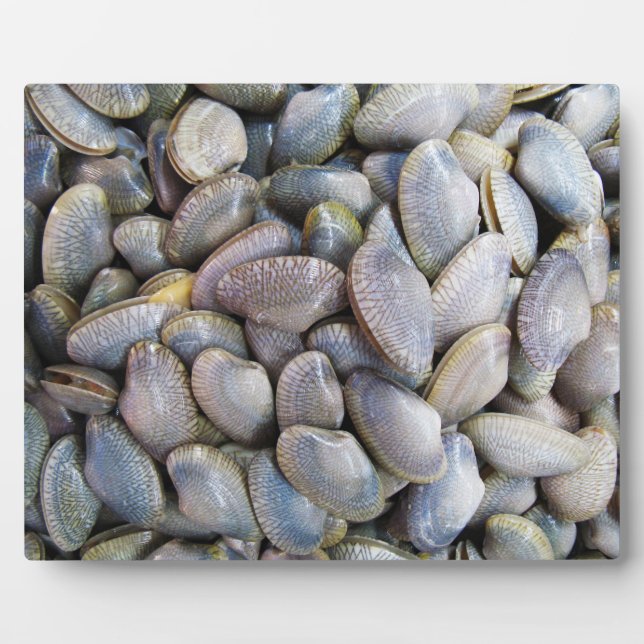 Venus Clam [หอยลาย] Plaque (Front)