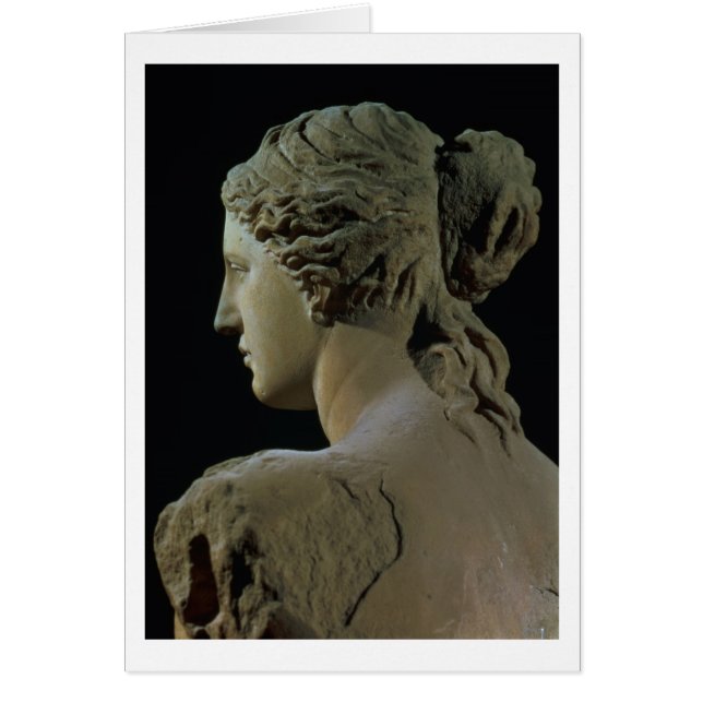 Venus de Milo, detail of the back of the head, Hel (Front)