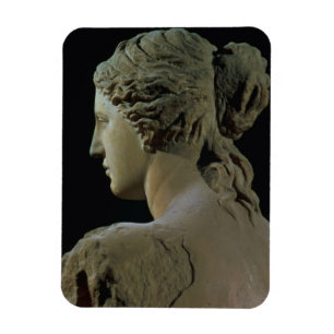 Venus de Milo, detail of the back of the head, Hel Magnet