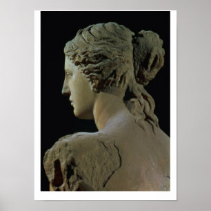 Venus de Milo, detail of the back of the head, Hel Poster