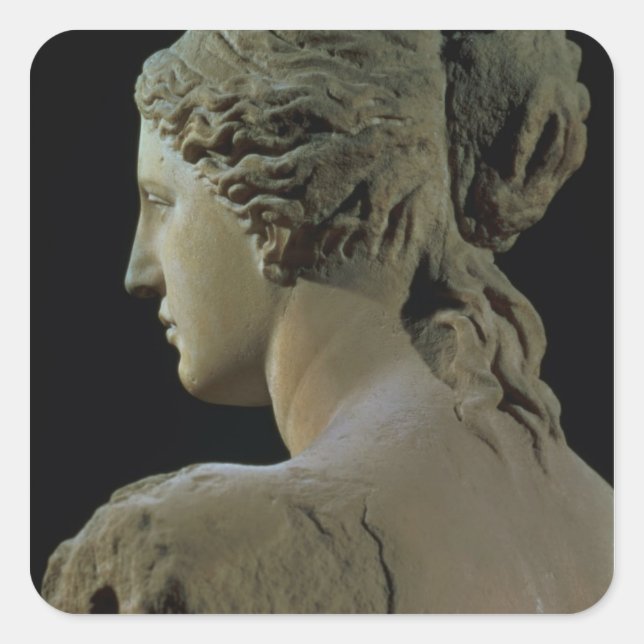 Venus de Milo, detail of the back of the head, Hel Square Sticker (Front)