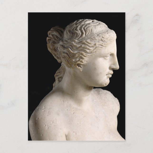 Venus de Milo Postcard (Front)