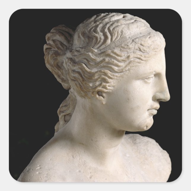 Venus de Milo Square Sticker (Front)