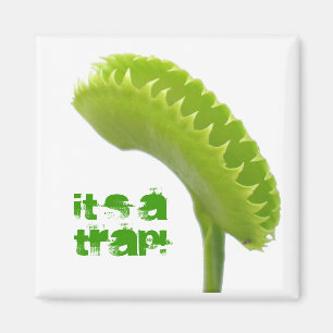 Venus Fly Trap Magnet