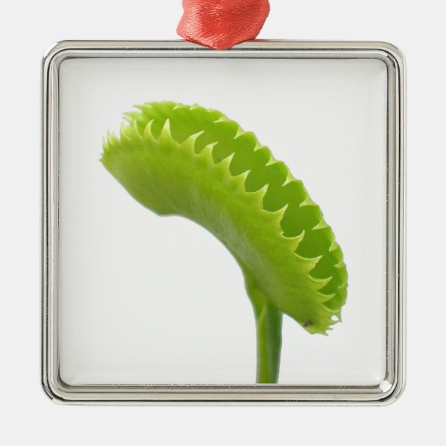 Venus Fly Trap Metal Tree Decoration (Front)