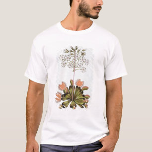 Venus Fly-trap, plate 84, from 'Collection Precieu T-Shirt