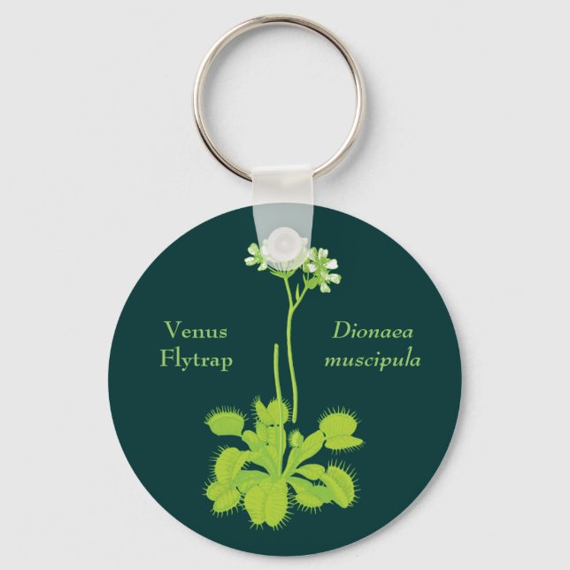 Venus Flytrap Floral Art Key Ring (Front)