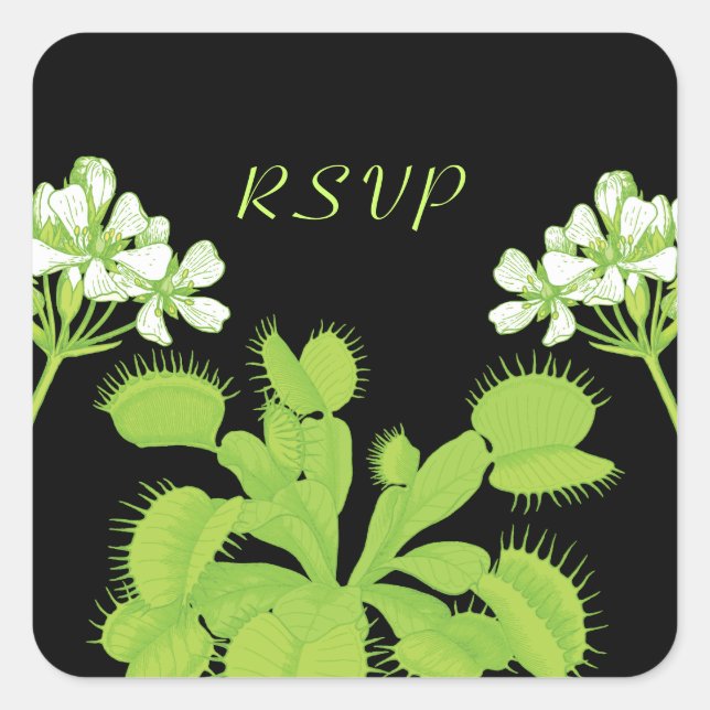 Venus Flytrap Flowers RSVP Square Sticker (Front)