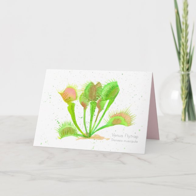 Venus Flytrap Plant Watercolor Illustration Blank Card (Front)