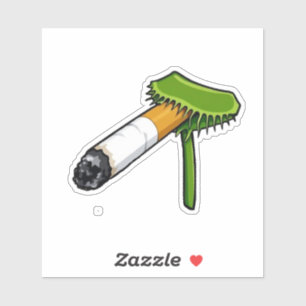 Venus Flytrap Plant With Cig