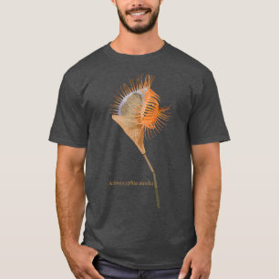 Venus flytrap sea anemone Actinoscyphia aurelia T-Shirt