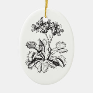 Venus Flytrap Vintage Botanical Ornament