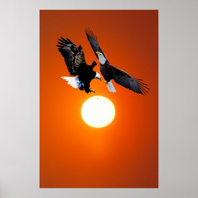 Venus in transit with eagles poster (Front)