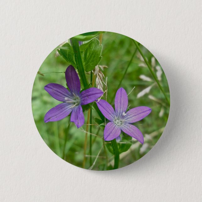 Venus Looking Glass Wildflower 6 Cm Round Badge (Front)