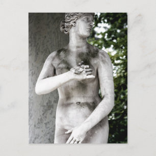 Venus Postcard