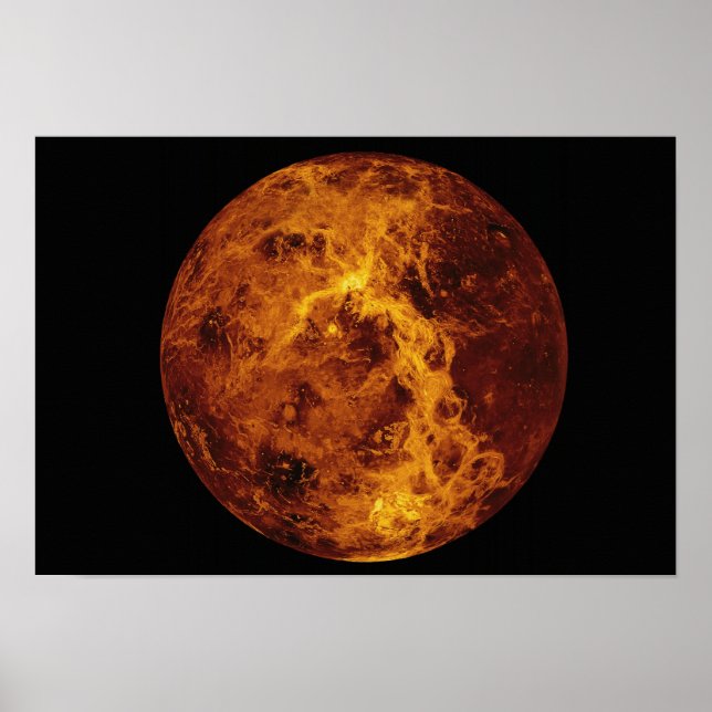 Venus Poster (Front)