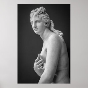 Venus Poster