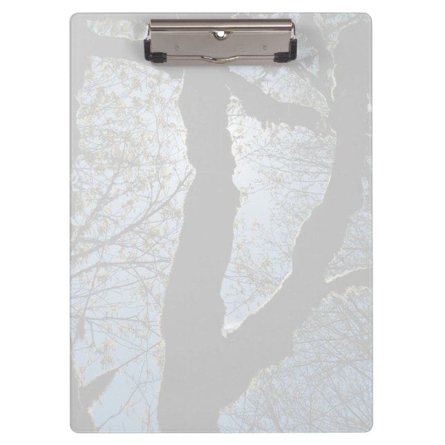 VER CLIPBOARD (Front)