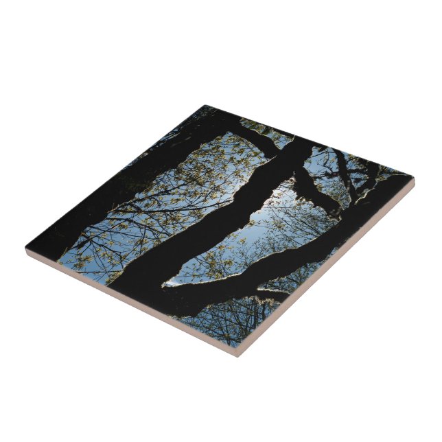 VER TILE (Side)