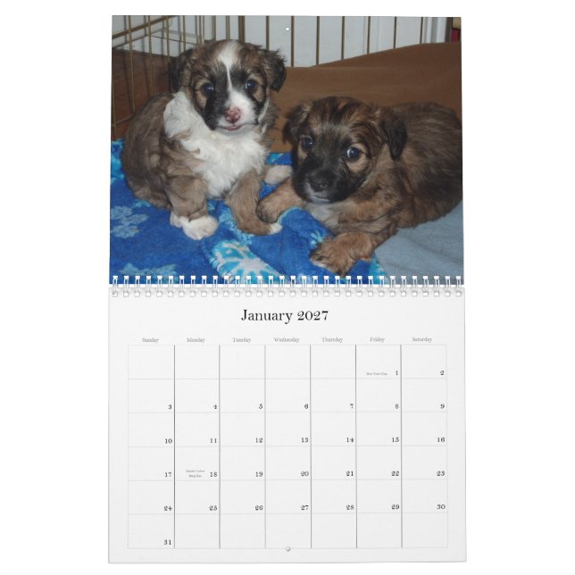 Vera and her puppies calendar (Jan 2027)