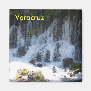 Veracruz Mexico magnet