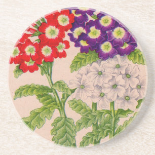 verbena flowers in red and purple coaster