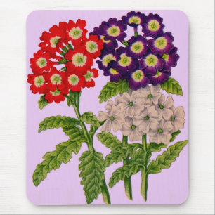 verbena flowers in red and purple mouse mat