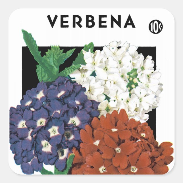 Verbena Seed Packet Label (Front)