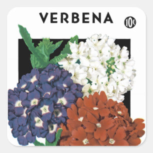 Verbena Seed Packet Label