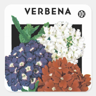 Verbena Seed Packet Label