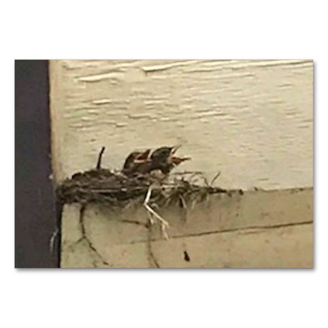 Verbs Chirping Birds Reading Flashcards for Adults Table Number (Front)