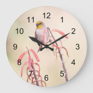 Verdin perched on penstemon large clock