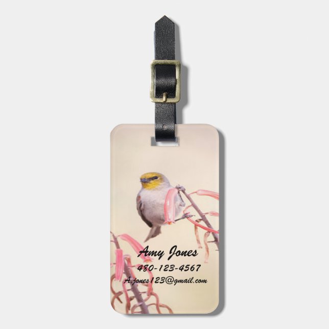Verdin perched on penstomen luggage tag (Front Vertical)