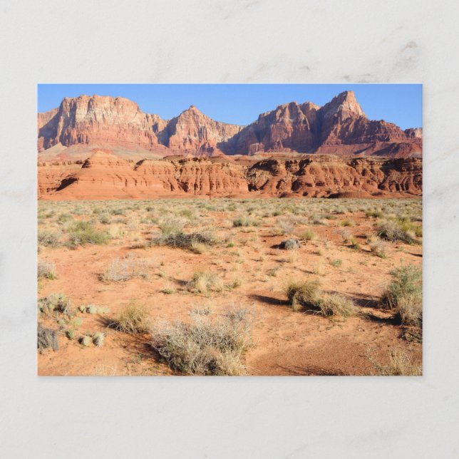 Vermilion Cliffs National Monument Postcard (Front)