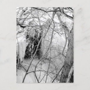 Vermilion Falls Postcard