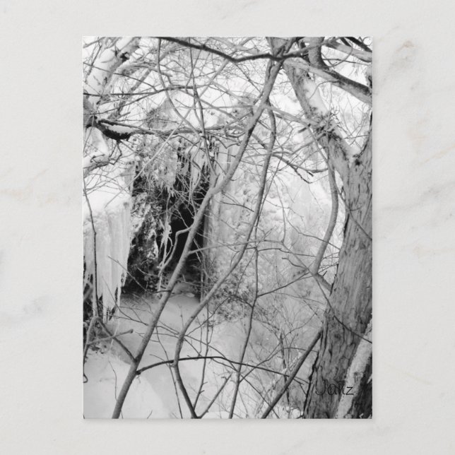 Vermilion Falls Postcard (Front)