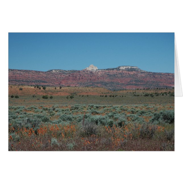 VERMILLION CLIFFS (Front Horizontal)