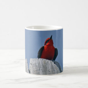Vermillion Flycatcher against blue sky coffee mug