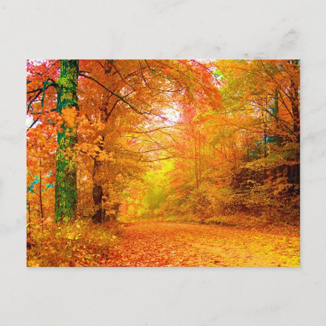 Vermont Autumn Fine Nature Landscape Postcard (Front)